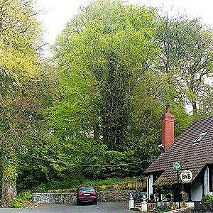 Moat Lodge Maynooth Exterior photo