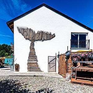 Lusi E In Collina Bed & Breakfast Cortandone Exterior photo