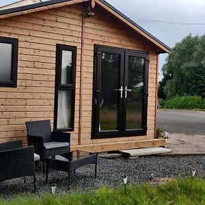 Cosy Log Cabin With Views Of Scrabo Tower Villa Comber Exterior photo