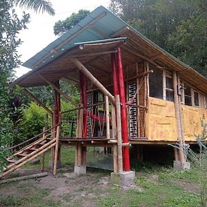 Entre Guaduas Ecolodge - Cabana De Guadua Anolaima Exterior photo