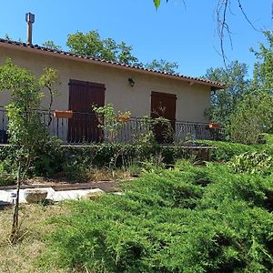 Charmante Maison Familiale A Realmont-Tarn Villa Exterior photo