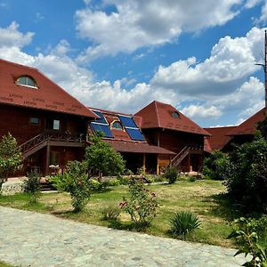 Pensiunea Balkan Expres Hotel Runcu  Exterior photo