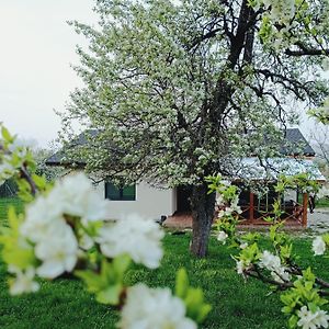 Kesta Za Gosti Sofash Villa Stoevtsi Exterior photo