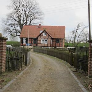 Haus Elbrose Inmitten Von Rosen Mit Elbdeichzugang Villa Lenzerwische Exterior photo