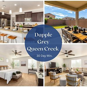 Dapple Gray Queen Creek Villa Exterior photo