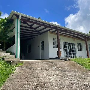 Green Loft Villa Le Morne-Vert Exterior photo