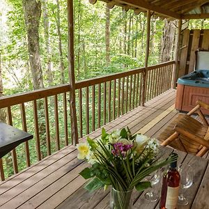 Creekside Cabin Hot Tub Near Wineries Sleeps 4 Villa Dahlonega Exterior photo