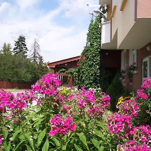 Zodiac House Hotel Samokov Exterior photo