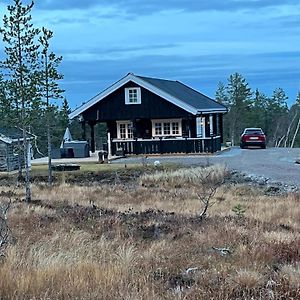 Trivelig By Norgesbooking - Cabin At Blefjell Villa Flesberg Exterior photo