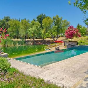 Fairytale Retreat At Uc Davis Pool Lake Kitchen Villa Exterior photo