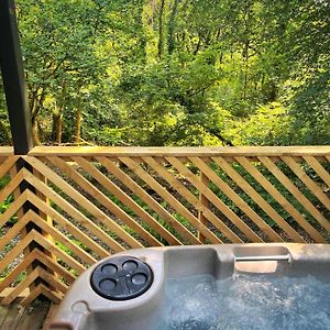 Goldcrest 3-Hot Tub-Woodland Lodges-Carmarthenshire-Tenby Exterior photo