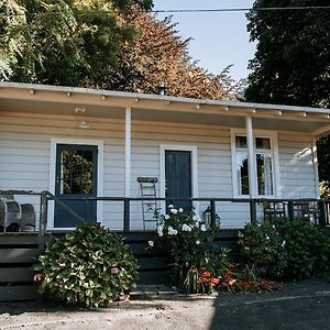 The Rabbiter'S Cottage Kahuranaki Exterior photo