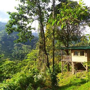 Casa Del Arbol Con Hermosa Vista Pijao Quindio Villa Exterior photo