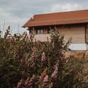 Oberwald Chalets 1 Schotten Exterior photo