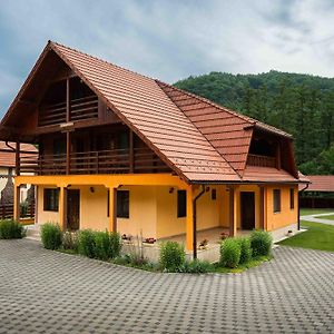 Cabana Sargetia Hotel Costesti  Exterior photo