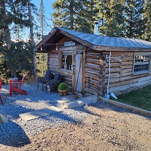 100 Year Old Log Cabin Motel Waiporous Village Exterior photo