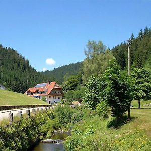 Gaestehaus Herrmann Hotel Bad Rippoldsau-Schapbach Exterior photo