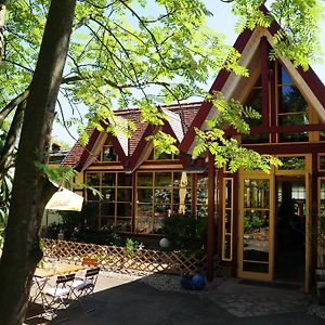 Waldhaus Colditz Garni Hotel Exterior photo