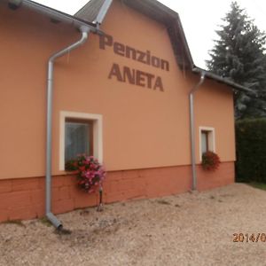 Penzion Aneta Hotel Svijany Exterior photo