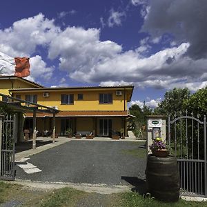 Albergo Luisss Grosseto Exterior photo