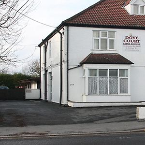 Dove Court Mini Lodge Bristol Exterior photo