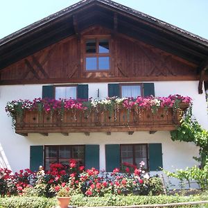 Haus Alpenrose Apartment Schwangau Exterior photo