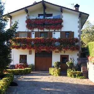 Apartamento Rural Oizalde Apartment Elizondo Exterior photo