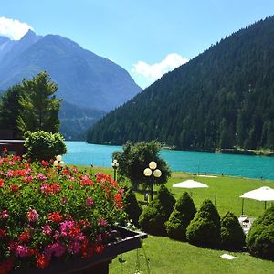 Hotel Panoramic Auronzo di Cadore Exterior photo