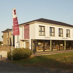 Meyerhof - Weingut, Vinothek & Gaestehaus Hotel Flonheim Exterior photo