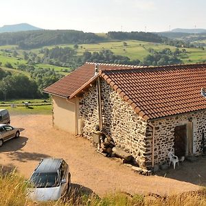 Les Chambres Du Fraisse Laussonne Exterior photo