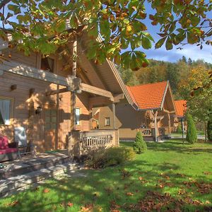 Mountain Inn Chalets & Apartments Walchsee Exterior photo