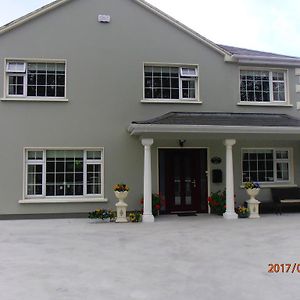 Larkfield House B&B, Ballycasheen Kerry V93 Wd51 Killarney Exterior photo