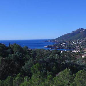 Cote D'Azur Apartment Theoule-sur-Mer Exterior photo