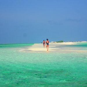 Chill Holidays Maldives Hotel Maamigili Island Exterior photo