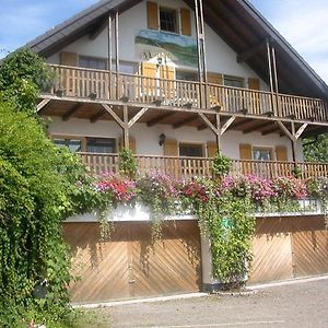 Gaestehaus Fichtelgebirgsblick Apartment Stammbach Exterior photo