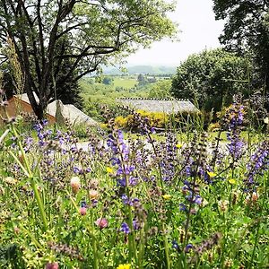 Domaine Des Marequiers Chambre Melilot Bed & Breakfast Saint-Germain-du-Teil Exterior photo