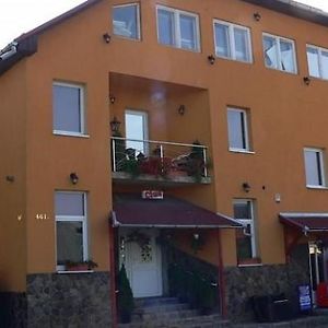 Engi Panzio Bed & Breakfast Ocna de Sus Exterior photo