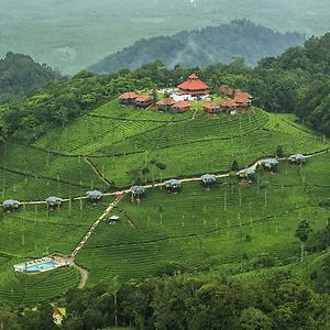 Wild Planet Jungle Resort Devala Exterior photo