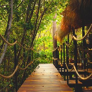 Hotel Noga Zipolite Exterior photo