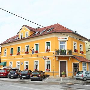 Hostel Sonce Ptuj Exterior photo