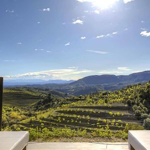 Trossos Del Priorat Hotel Gratallops Exterior photo