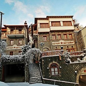 Asteri Metsovo Hotel Exterior photo