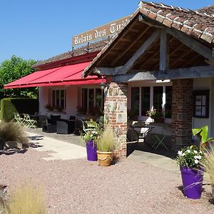 Le Relais Des Tuileries Hotel Sereilhac Exterior photo