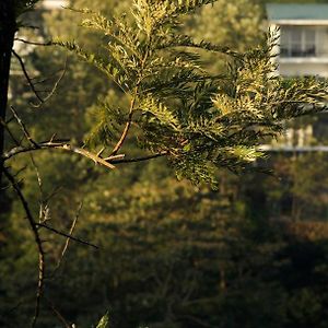 Falcon Crest Hotel Vagamon Exterior photo