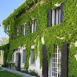 Agriturismo Tra Le Vigne Guest House Buttrio Exterior photo