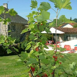 La Maison Pres D'Aurillac Bed & Breakfast Giou-de-Mamou Exterior photo