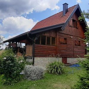 Holiday Home Brvnara Bajina Basta Exterior photo