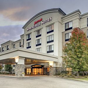 Springhill Suites By Marriott Wheeling Triadelphia Area Exterior photo