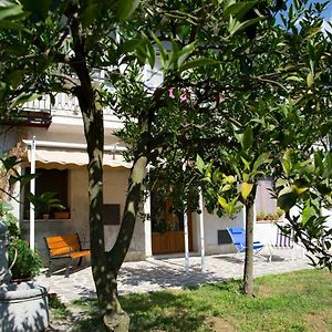 Il Moro Bianco Bed & Breakfast Teano Exterior photo