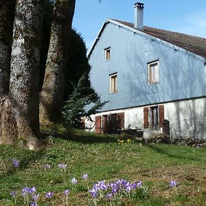 La Fritillaire Bed & Breakfast La Montagne  Exterior photo